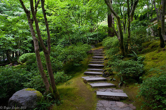 Japanese Garden