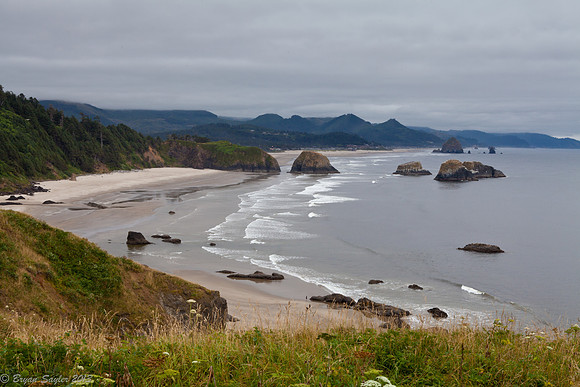 Oregon Coast