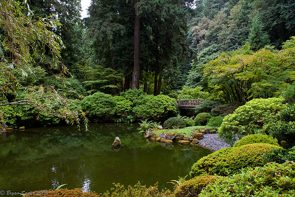 Japanese Garden