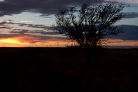NM Sunset