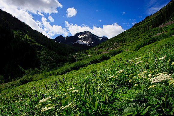 Road to Immogene Pass