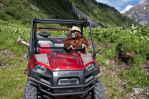 Messin' with Sasquatch