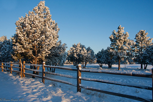 Ruidoso-2012-3759