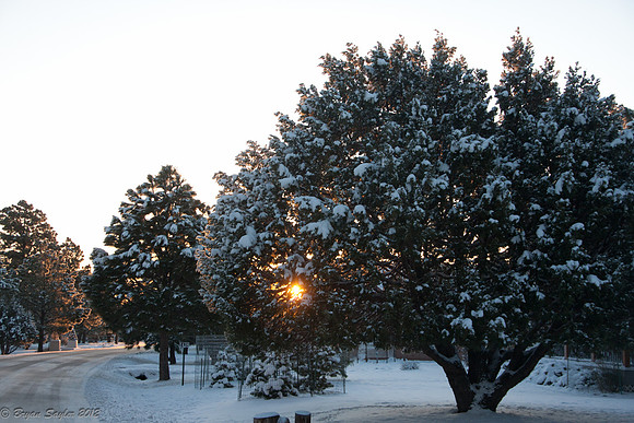 Ruidoso-2012-3749
