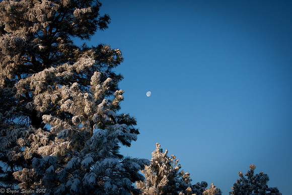 Ruidoso-2012-3760