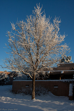 Ruidoso-2012-3772