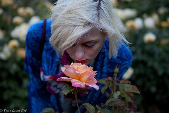 Portland Rose Test Garden